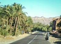 Von Ouarzazate, Zagora und Draa Tal Tagestour - Hizvo