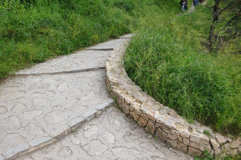 Desde Málaga: Ronda y Setenil de la Bodegas Excursión de un día en autocar