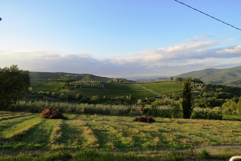 Von Florenz aus: Chianti Selbstgeführte Vespa-Tour mit MittagessenMit der E-Vespa das Chianti erkunden: Einzelfahrer