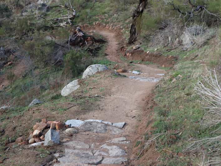 Melbourne 1Day Mountain Biking Adventure with Lunch GetYourGuide