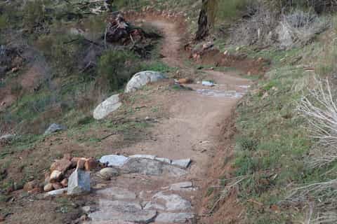 Melbourne: 1-tägiges Mountainbike-Abenteuer mit Mittagessen