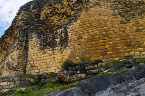 Chachapoyas : Circuit de 2 jours aux chutes d'eau de Gocta et à la forteresse de KuelapChachapoyas : excursion de 2 jours aux chutes d'eau de Gocta et à la forteresse de Kuelap