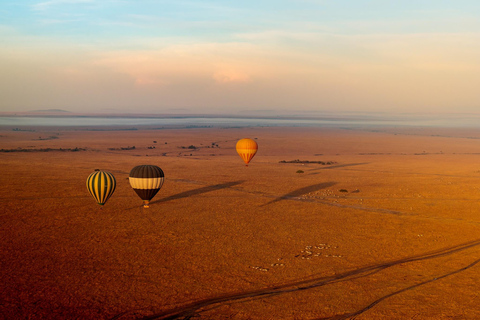 Overnight Masai Mara National Park From Nairobi