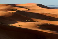 Da Ouarzazate, 3 giorni Merzouga a Erg Chebbi Tour - Hizvo