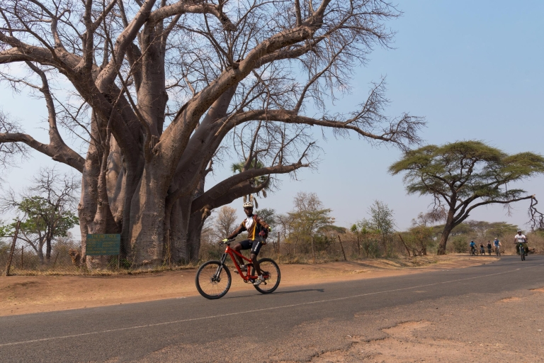 Ab Victoria Falls: FahrradtourTour mit Abholung vom Hotel