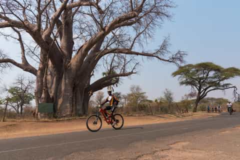 From Victoria Falls: Bicycle Tour