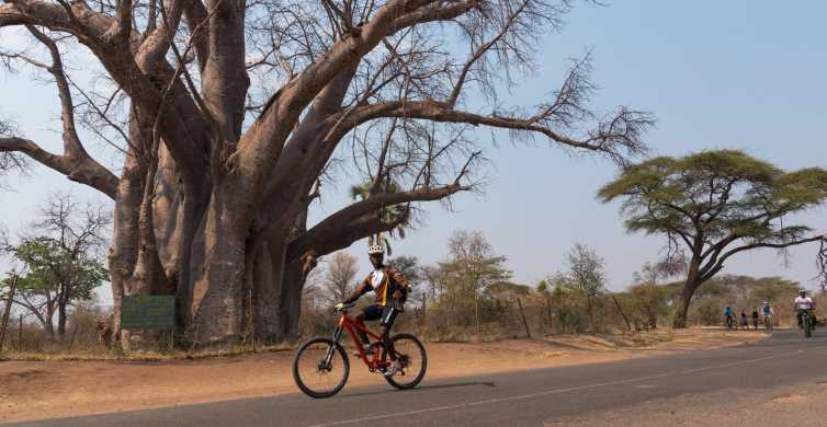 From Victoria Falls Bicycle Tour GetYourGuide