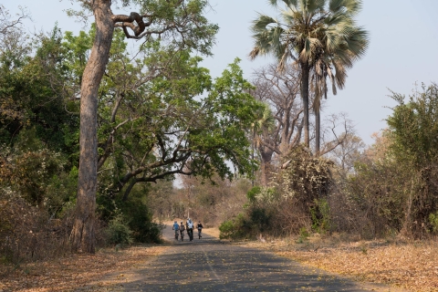 From Victoria Falls: Bicycle Tour Tour with Meeting Point
