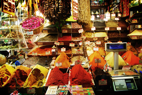 Istanbul: tour del meglio di Istanbul con pranzo e bigliettiIstanbul: il meglio del tour di Istanbul con pranzo e biglietti