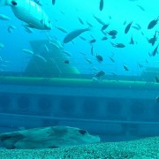 Lanzarote: Real Submarine Dive