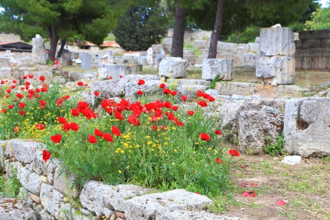 Depuis Athènes : Corinthe antique et monastère de Daphni