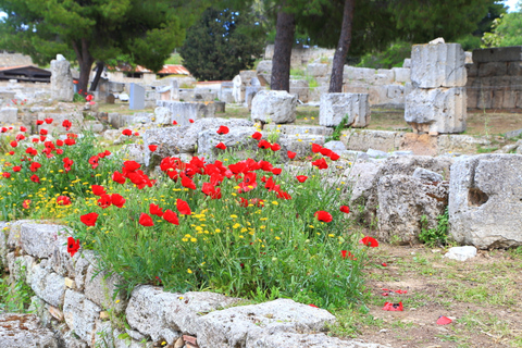 Depuis Athènes : Corinthe antique et monastère de Daphni