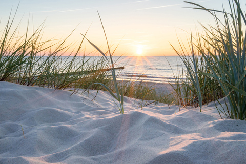 Lisse: Audio-Tour Dünen und Strand zum SelbstfahrenLisse: Elektroautovermietung mit GPS-Gerät und Audio-Tour