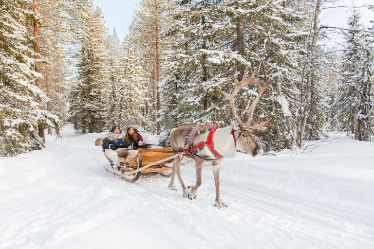 Rovaniemi : forfait fermes de huskies et rennes en minibusRovaniemi : traîneau, huskies, rennes & village du Père Noël