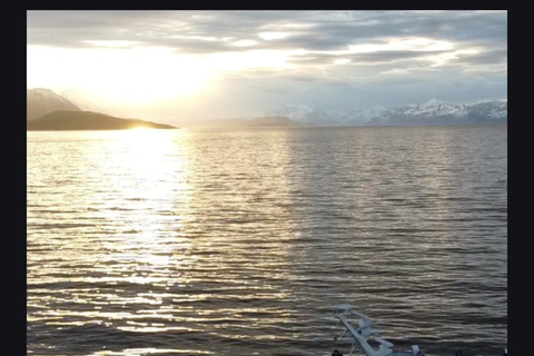 Tromsø: New Year’s Eve Cruise With Fireworks