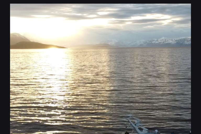 Tromsø: New Year’s Eve Cruise With Fireworks