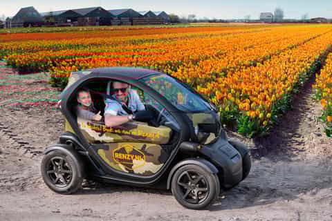 lisse driveityourself tulip fields gps audio tour