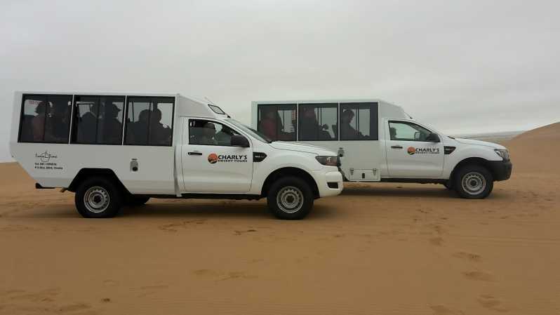 From Swakopmund: Living Dunes Experience