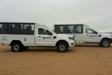Van Swakopmund: Living Dunes Experience