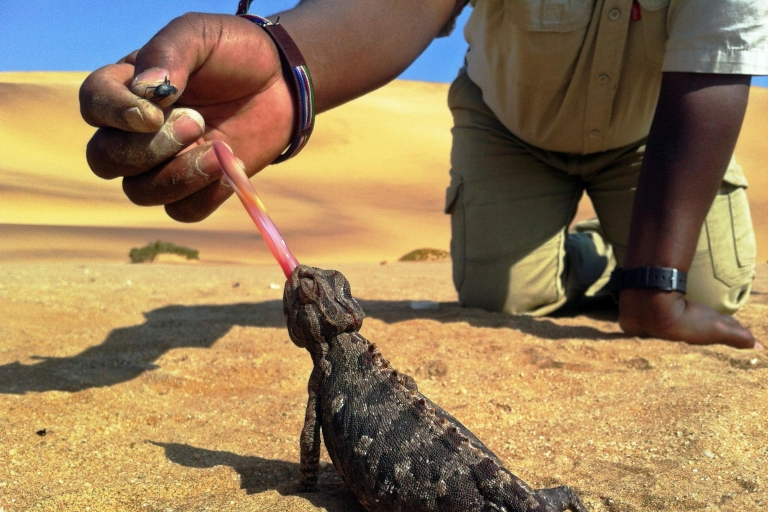 De Swakopmund: Vivir la experiencia de las dunas
