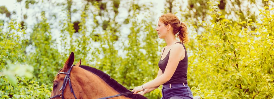 Bariloche: Horse Riding with Breakfast and Lunch Included