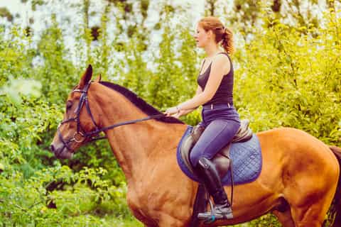 Bariloche: Horse Riding with Breakfast and Lunch Included
