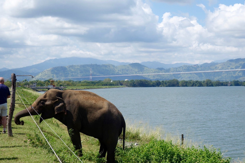 From Negombo: Udawalawa National Park Wildlife Safari