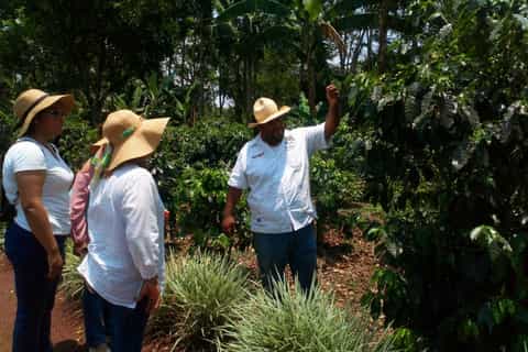 Coatepec: Enjoy the Coffee Route