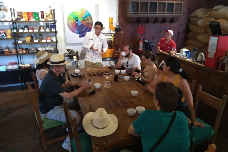 Coatepec : Profitez de la route du caféOption standard