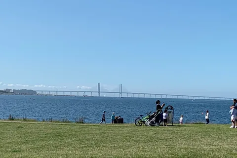 Malmö: 3-Hour Guided Walking Tour