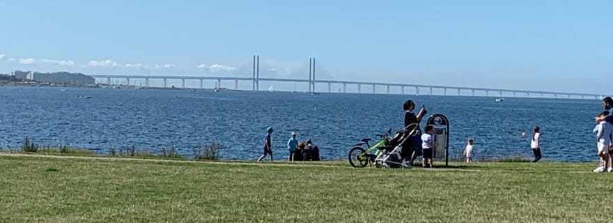 Malmö : Visite guidée à pied de 3 heures