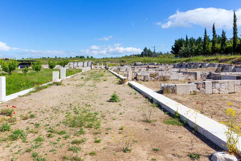 Depuis Thessalonique : excursion à Vergina et VeriaDepuis Thessalonique : Visite d&#039;une demi-journée de Vergina et Veria