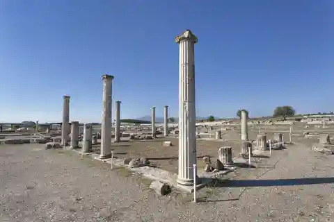 Depuis Thessalonique : excursion à Vergina et Veria