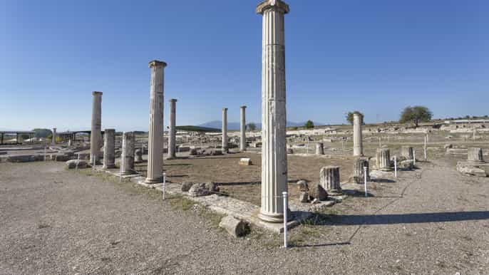 from thessaloniki pella and vergina fullday tour