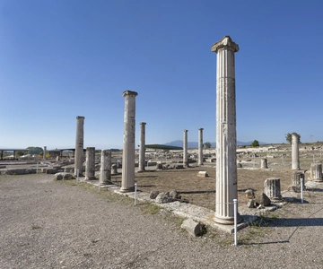 Thessalonikista: Vergina & Veria puolen päivän kierros