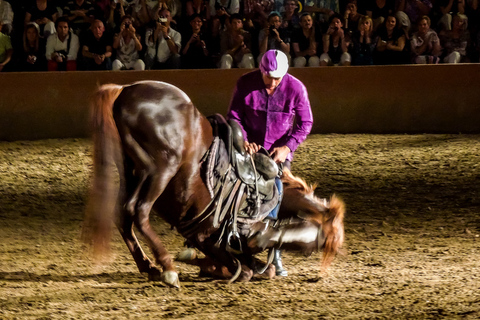 Chez Ali Dinner & Horsemen Show From Marrakech