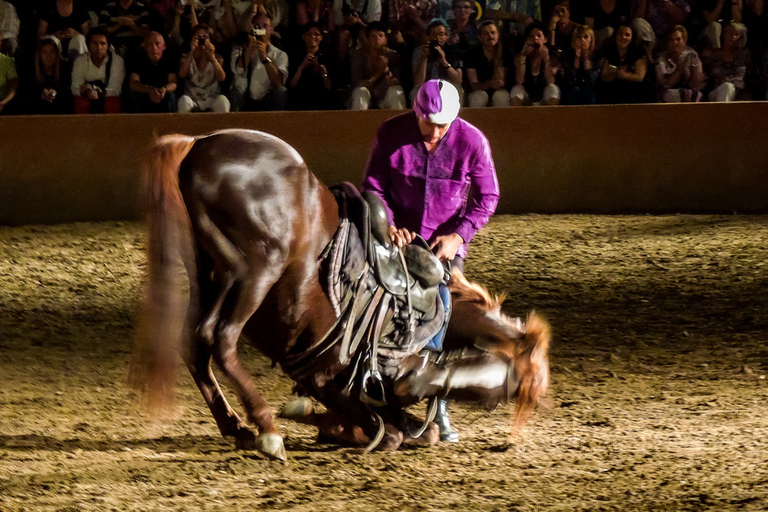 Chez Ali Dinner & Horsemen Show From Marrakech