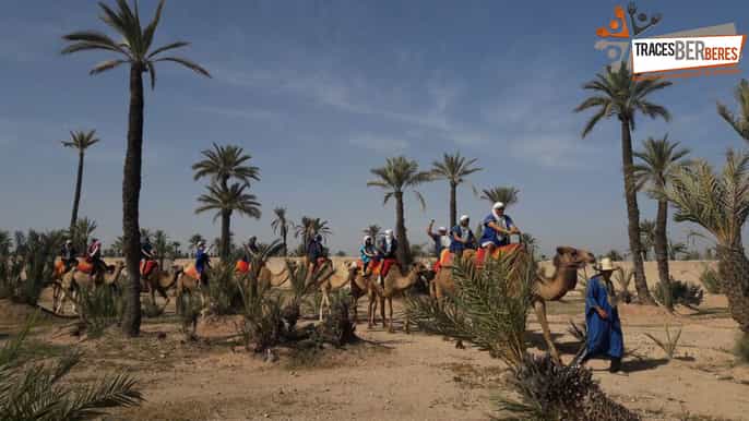 marrakech balade à dos de chameau