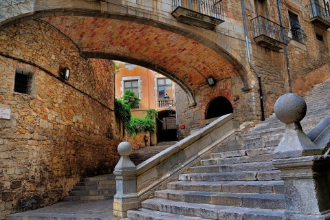 De Barcelone: visite privée d'une demi-journée dans la ville médiévale de GéroneDe Barcelone: visite privée d'une demi-journée à Gérone