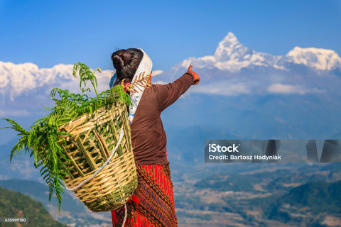 Pokhara: Begnas Lake Hike from Kalikasthan with Transfers