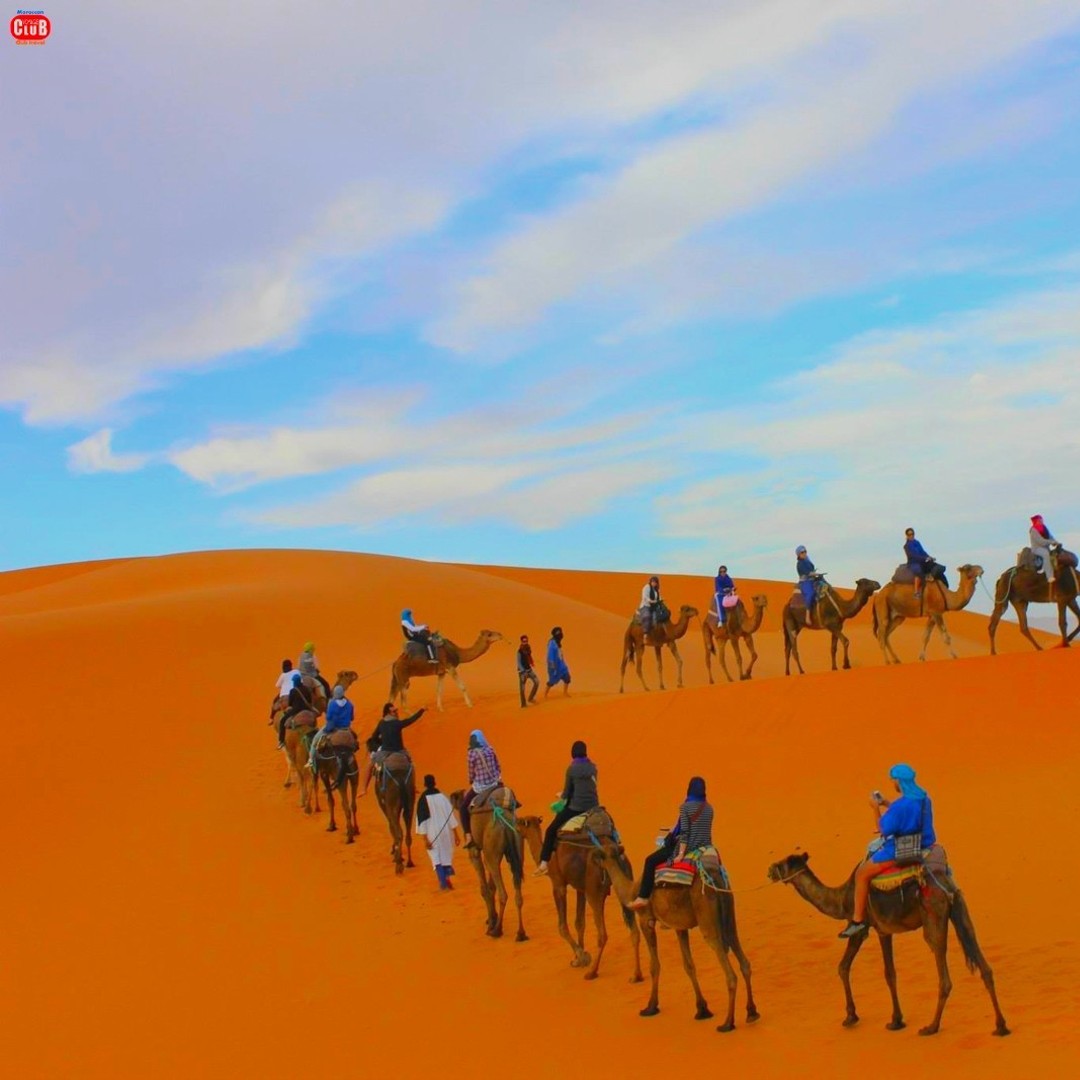 Au départ de Marrakech : Circuit de 2 jours dans le désert de Zagoura - dromadaire