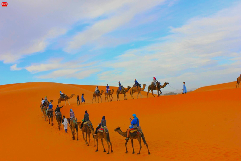 Ab Marrakesch: 2-tägige Wüsten-Tour nach Zagoura