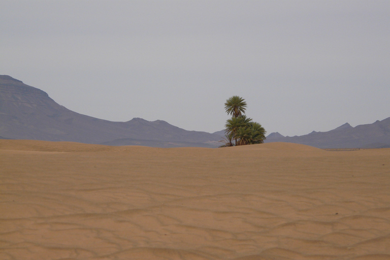 De Marrakech: excursion de 2 jours dans le désert de Zagoura