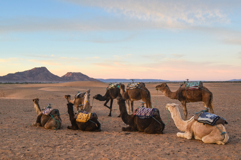 De Marrakech: excursion de 2 jours dans le désert de Zagoura