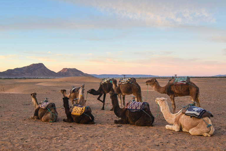 De Marrakech: excursion de 2 jours dans le désert de Zagoura