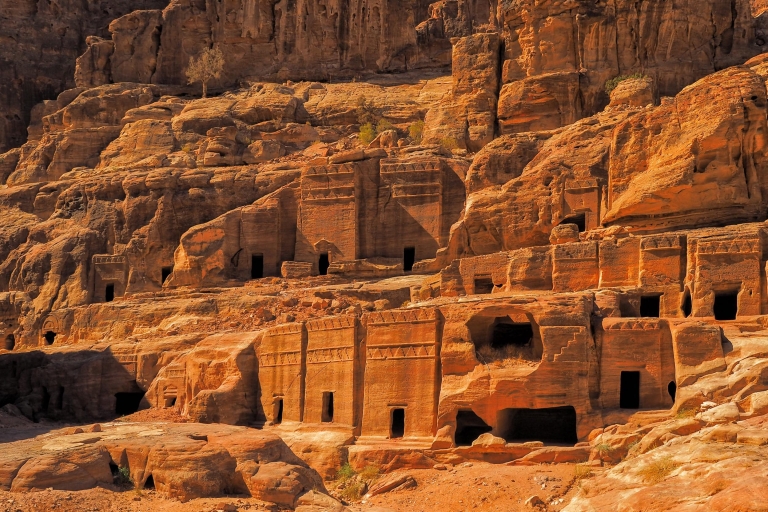 Excursión de un día a Petra desde Ammán