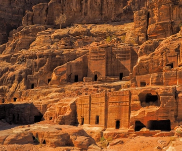 From Amman: Private Petra Day Trip with Guide