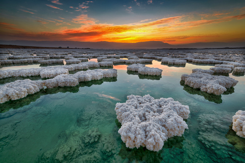 Private Half Day Tour to the Dead Sea from AmmanTour at Dead Sea Spa Hotel with Lunch