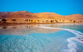 Private Half Day Tour to the Dead Sea from Amman