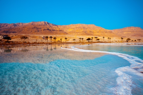 Private halbtägige Tour zum Toten Meer von AmmanTour mit Resorteintritt und Mittagessen